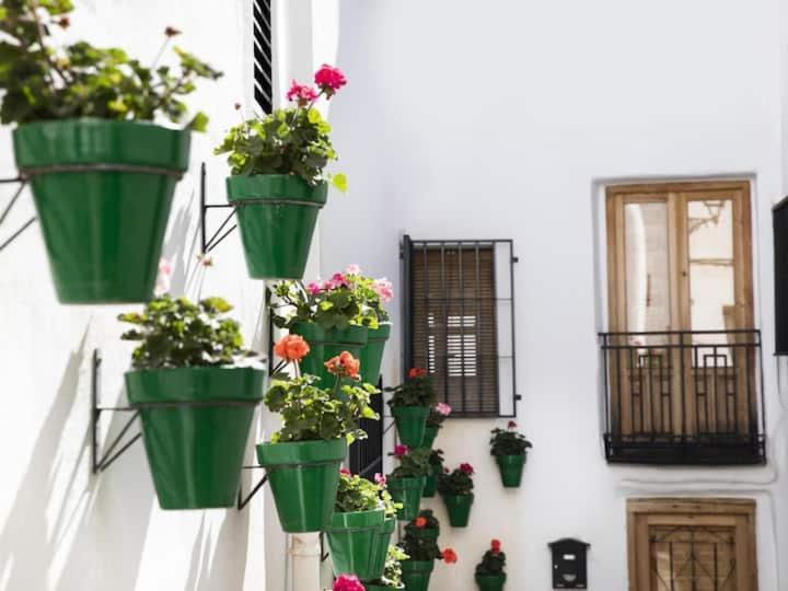 Carataunas Apartamento En El Corazon De Las Alpujarras מראה חיצוני תמונה